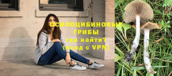 кокс Корсаков